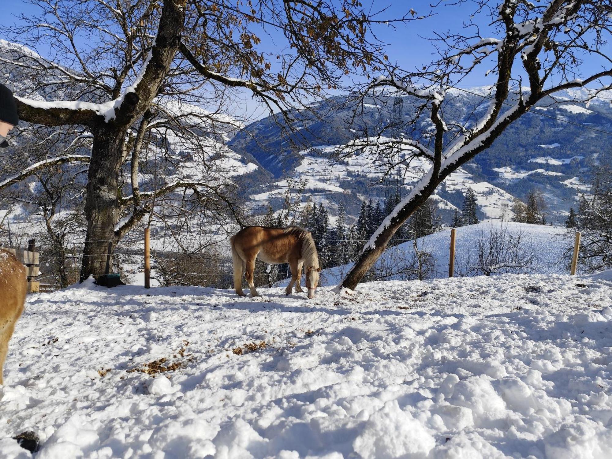 Wieshof Кальтенбах Экстерьер фото