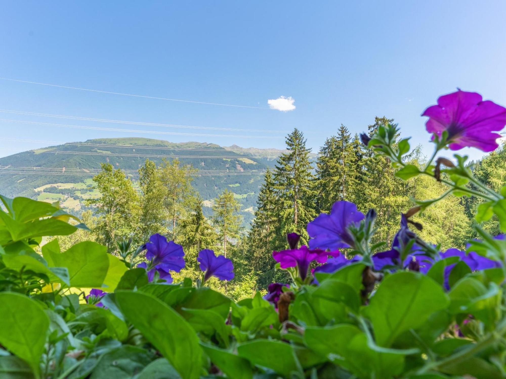Wieshof Кальтенбах Номер фото