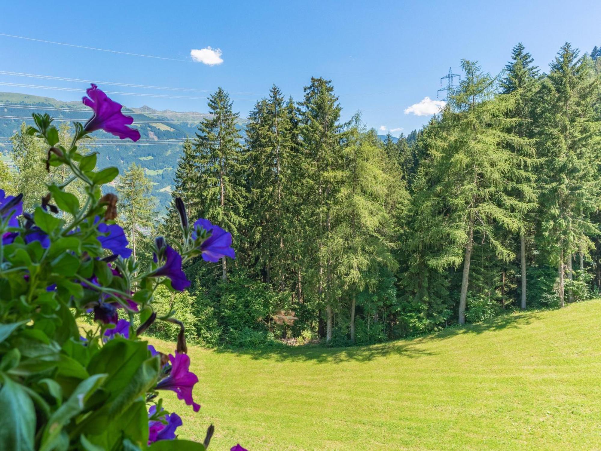 Wieshof Кальтенбах Номер фото