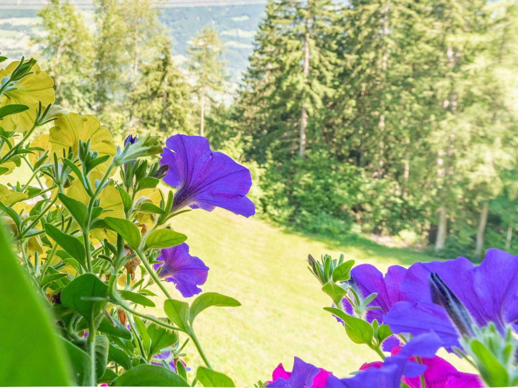 Wieshof Кальтенбах Номер фото